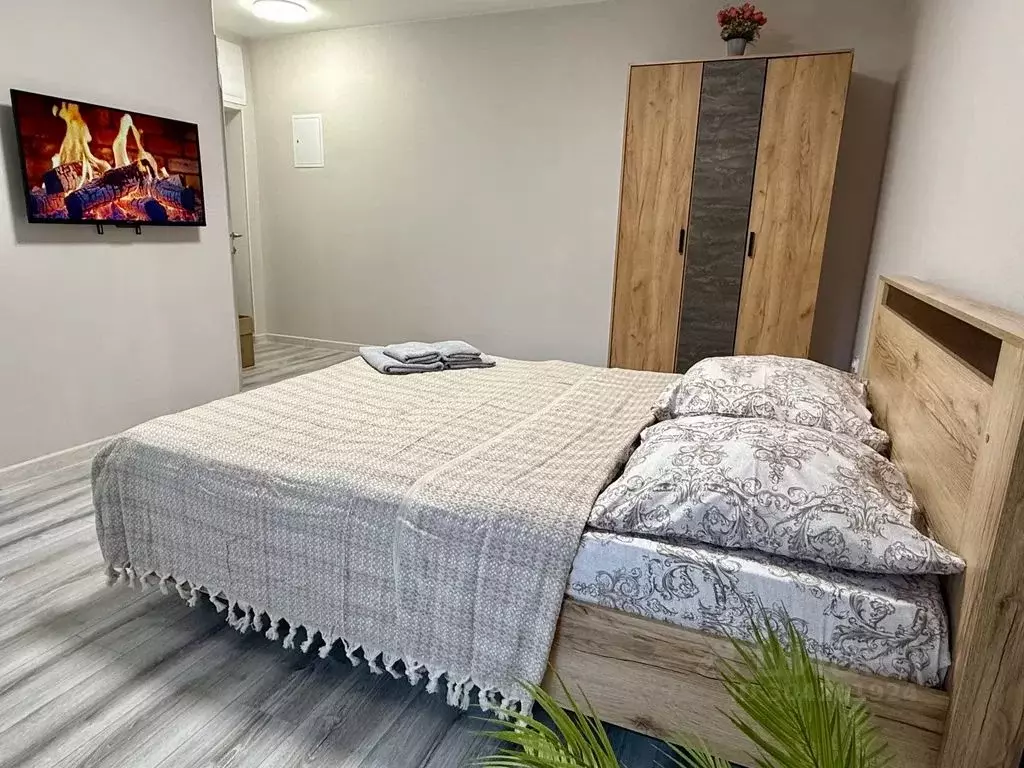 Студия Крым, Симферополь просп. Кирова, 18/3 (26.0 м) - Фото 2