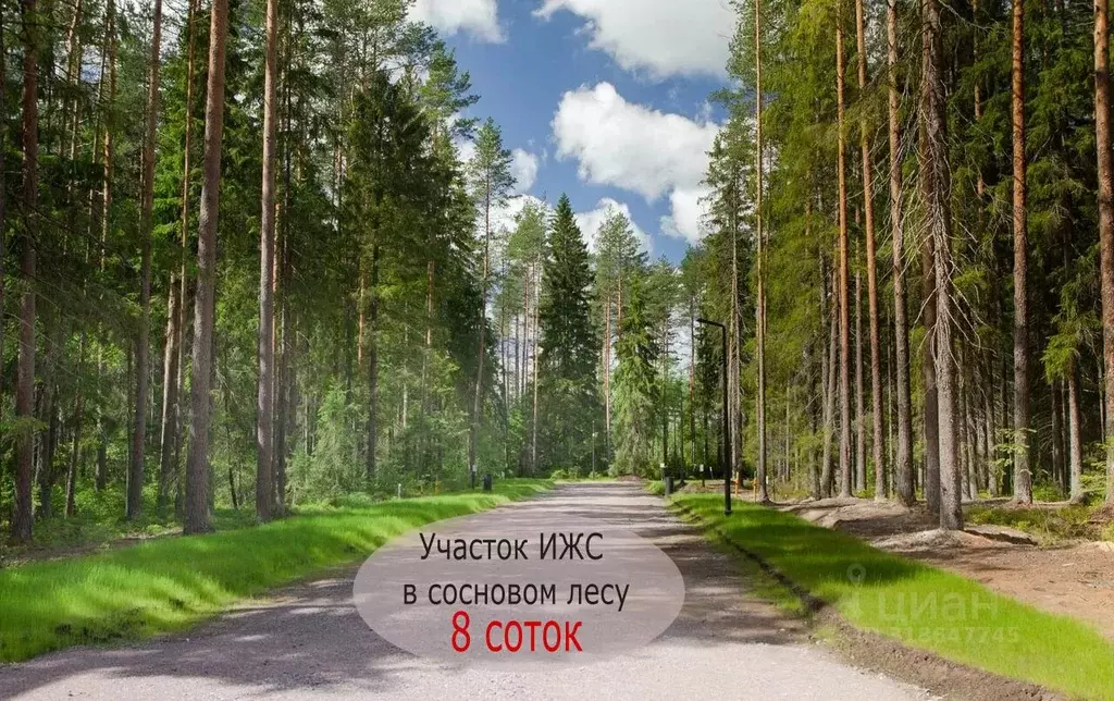Участок в Московская область, Чехов муниципальный округ, пос. Васькино ... - Фото 0