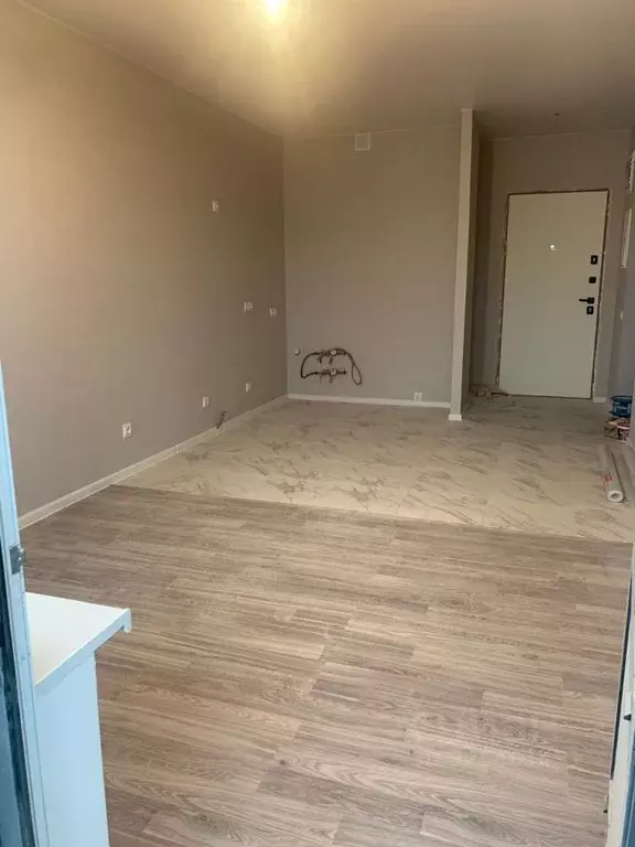 1-к кв. Московская область, Ленинский городской округ, д. Сапроново, ... - Фото 2