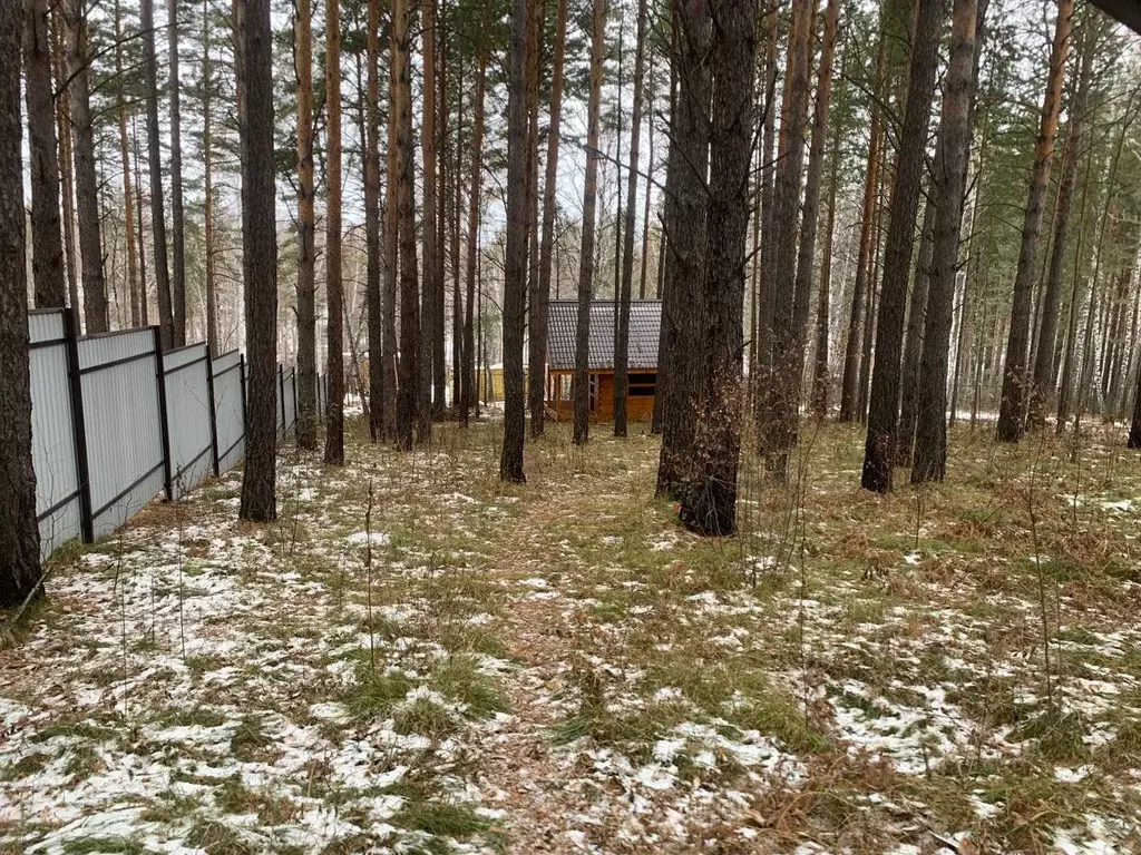 Дом в Красноярский край, Красноярск Гелиос-2 СНТ, ул. Беловежская, ... - Фото 2