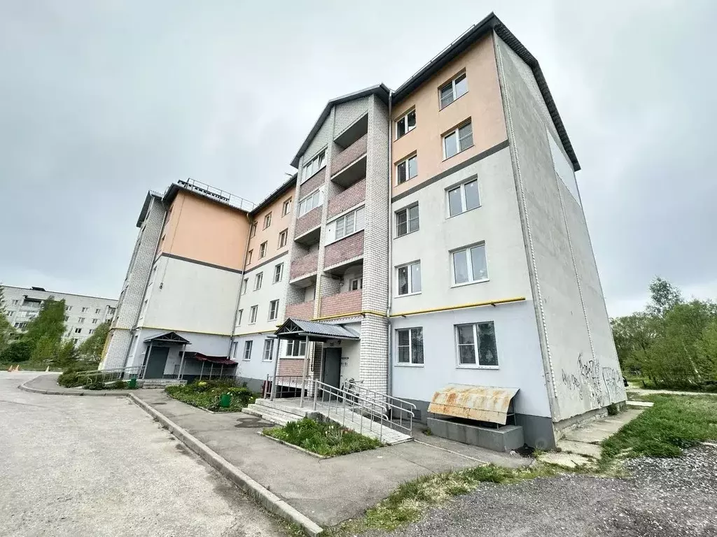 1-к кв. Владимирская область, Петушки Филинский проезд, 8 (29.2 м) - Фото 1