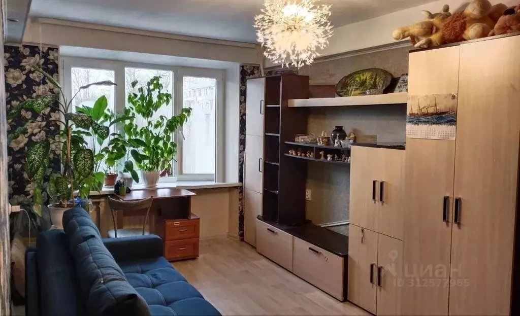 Комната Санкт-Петербург просп. Маршала Блюхера, 65 (18.8 м) - Фото 0