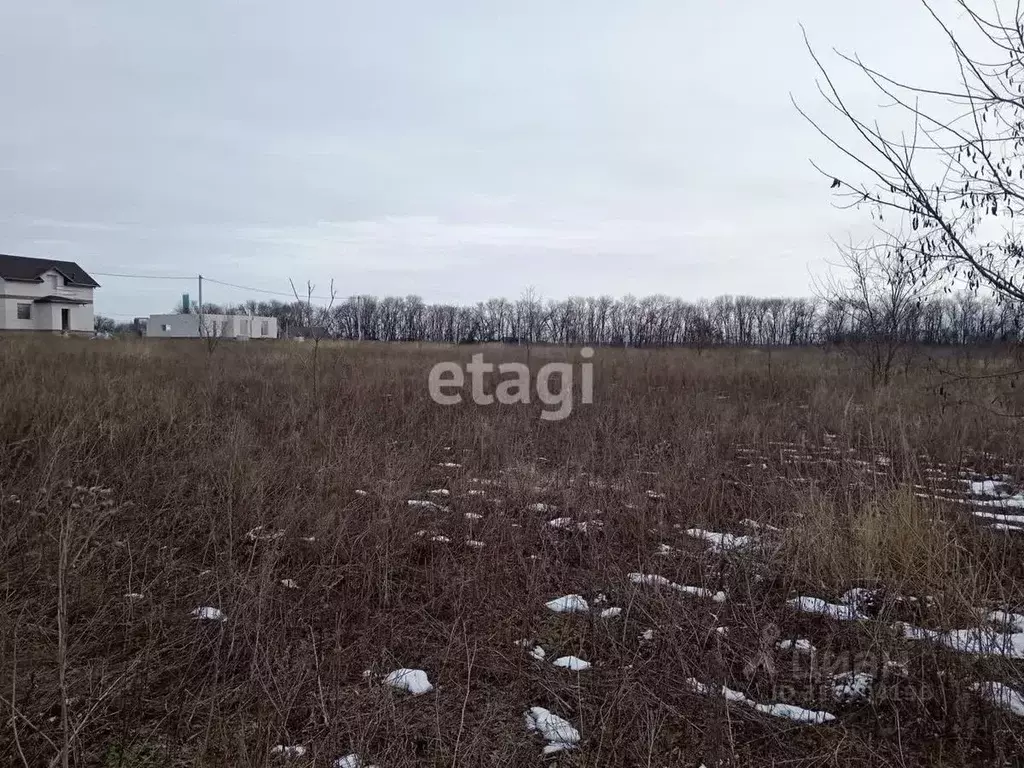 Участок в Белгородская область, Яковлевский муниципальный округ, с. ... - Фото 0
