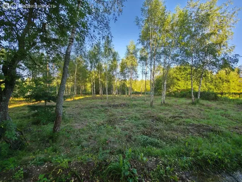 Участок в Руза, Прирецкая улица (8 м) - Фото 2