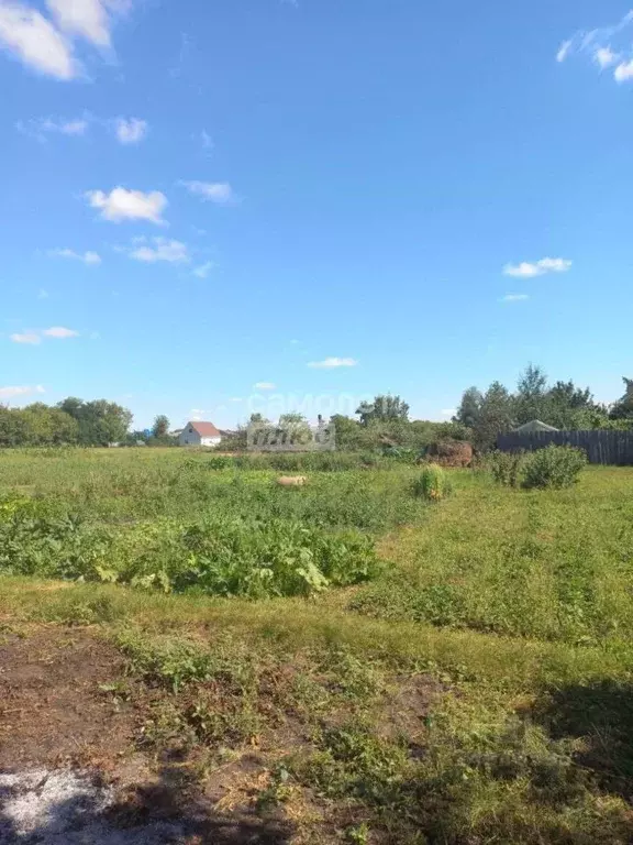 Участок в Липецкая область, Добровский муниципальный округ, с. ... - Фото 1