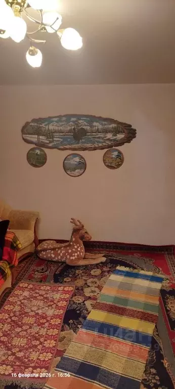 2-к кв. Самарская область, Кинель Украинская ул., 32 (50.0 м) - Фото 2