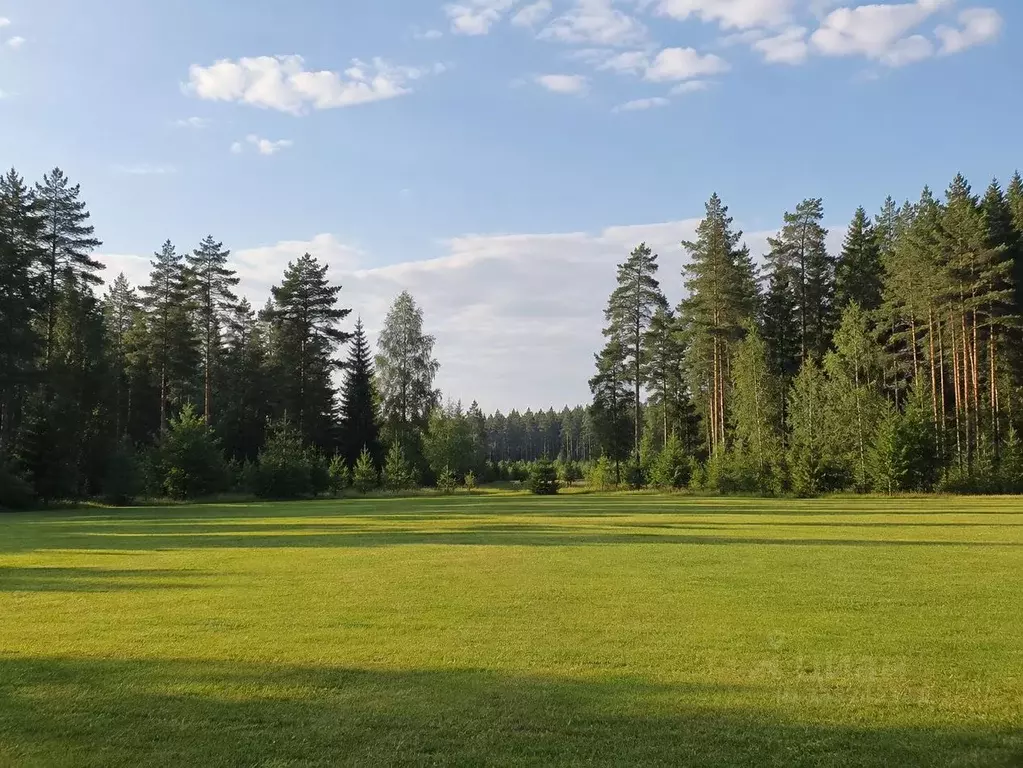 Участок в Московская область, Клин городской округ, д. Матвеево  (32.0 ... - Фото 1