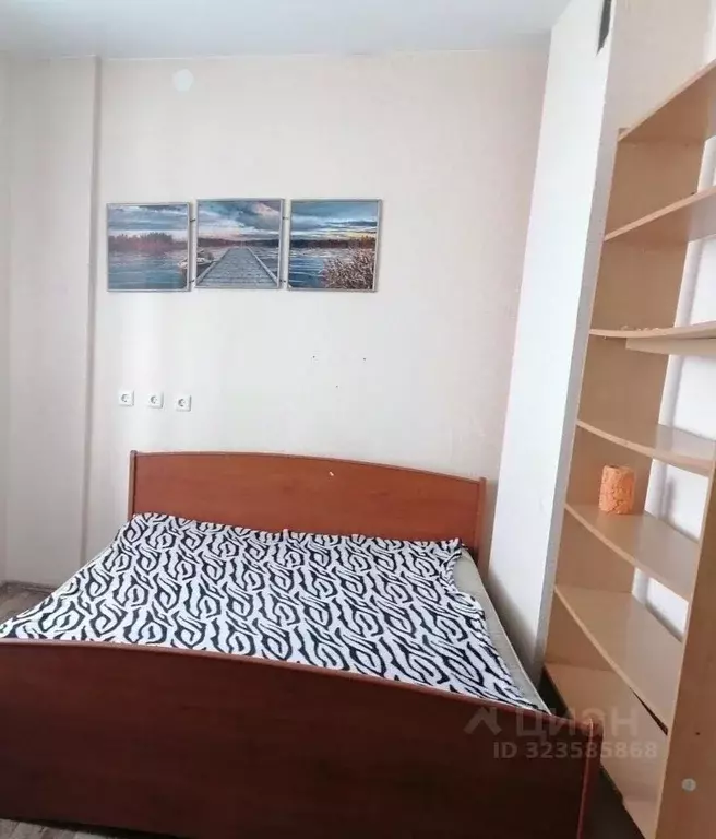 Студия Новосибирская область, Новосибирск Рябиновая ул., 10/1 (24.0 м) - Фото 2