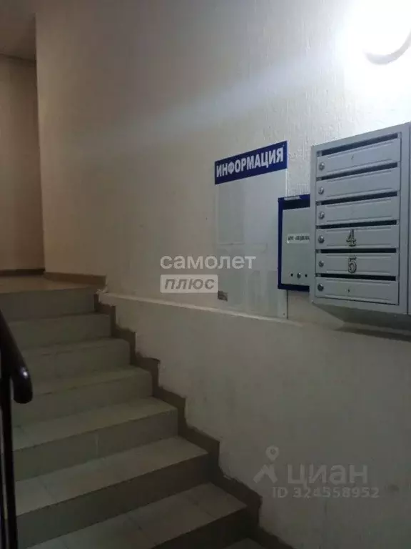 Студия Краснодарский край, Новороссийск Цемдолина тер., ул. Парковая, ... - Фото 1