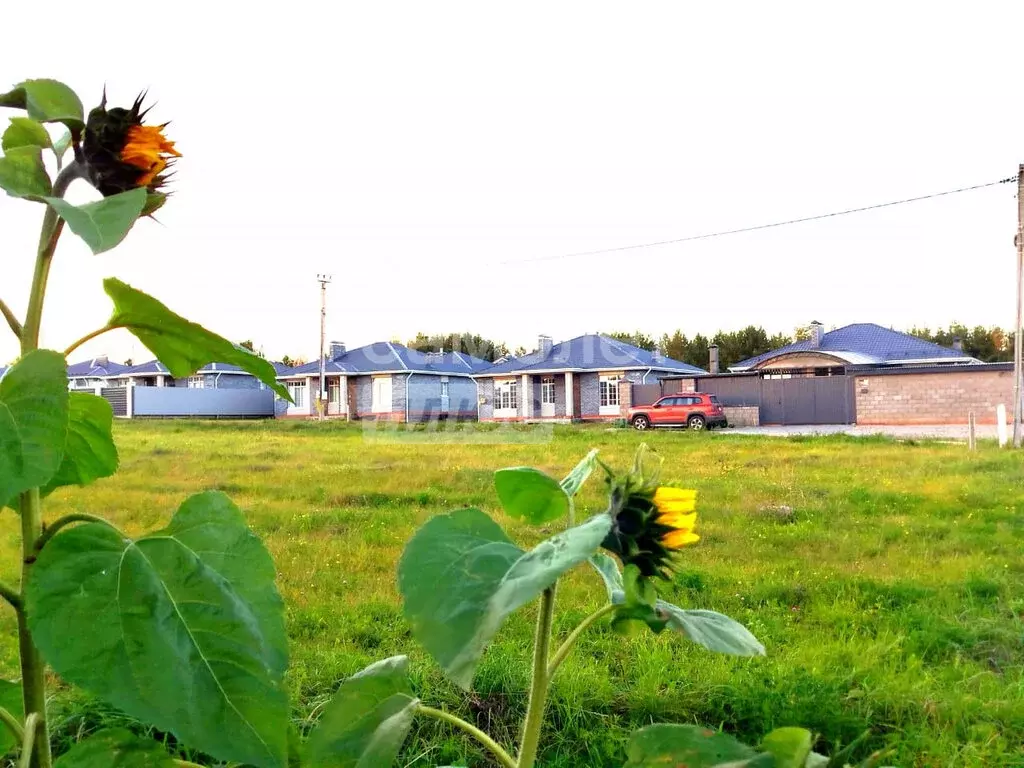 Участок в деревня Чернышевка, Озёрная улица (24 м) - Фото 2