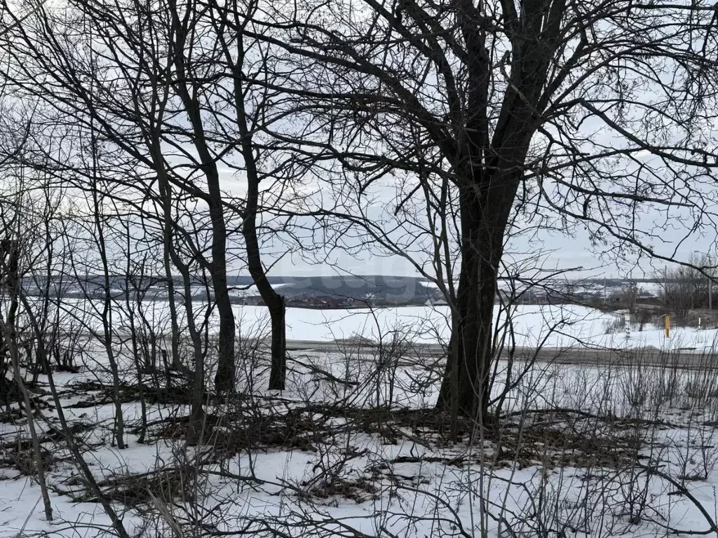 Участок в Белгородская область, Шебекинский муниципальный округ, пос. ... - Фото 2