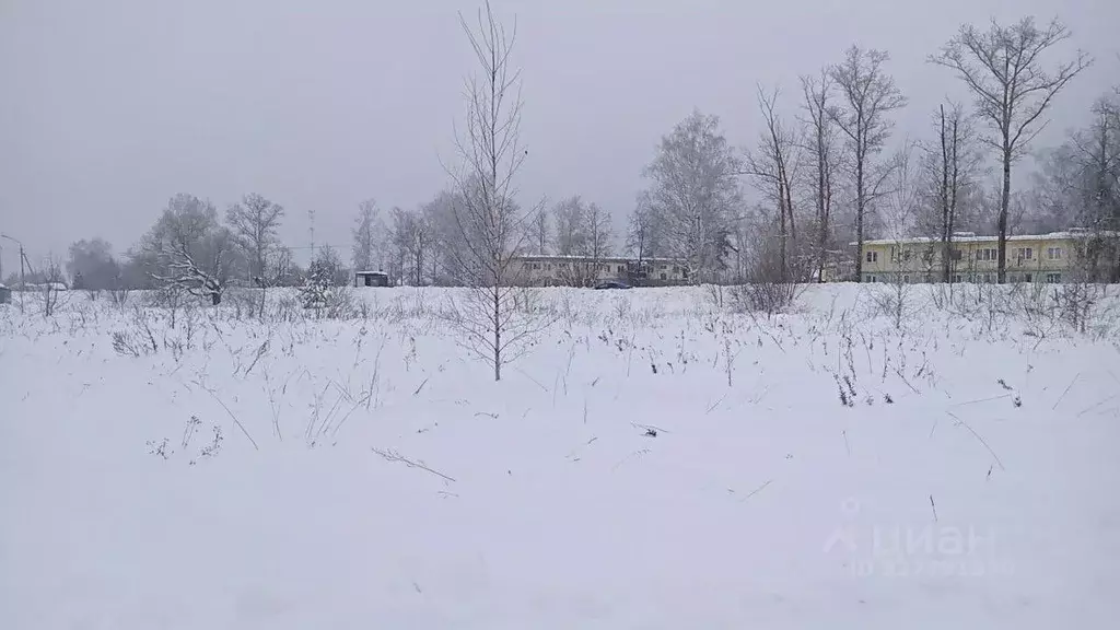 Участок в Московская область, Егорьевск муниципальный округ, с. ... - Фото 1