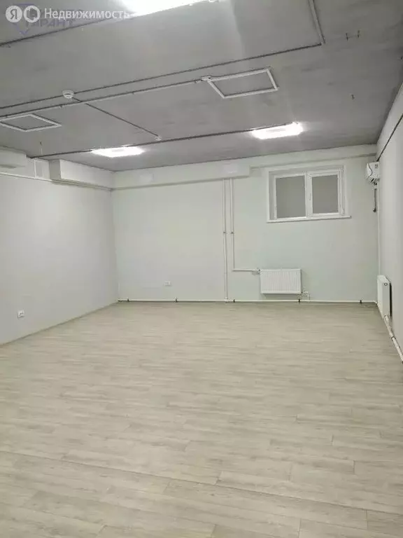 Помещение свободного назначения (228.5 м) - Фото 2