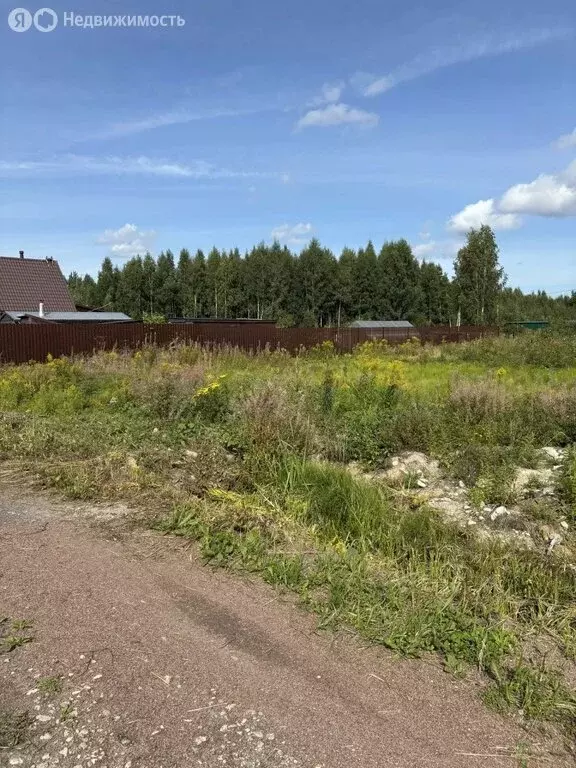 Участок в Приладожское городское поселение, садоводческое ... - Фото 1