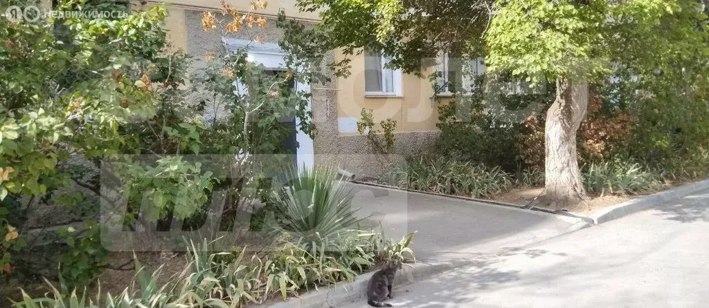 1-комнатная квартира: Севастополь, проспект Октябрьской Революции, 35 ... - Фото 0