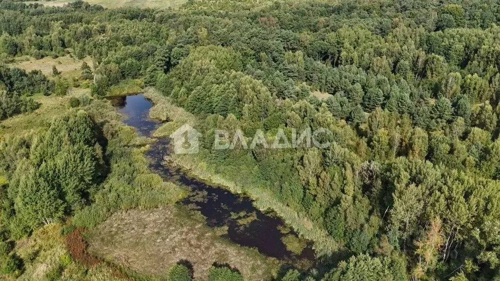 Участок в Калининградская область, Багратионовский муниципальный ... - Фото 2