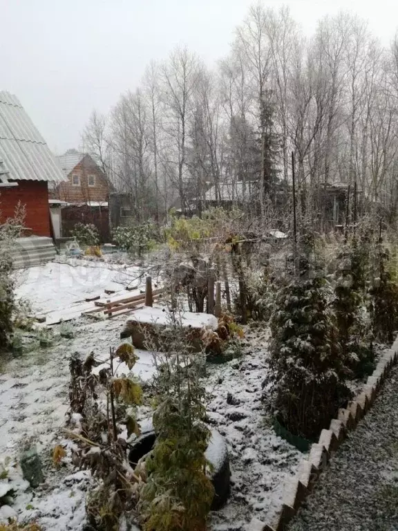 Дом в Мурманская область, Кольский район, Молочный городское ... - Фото 1