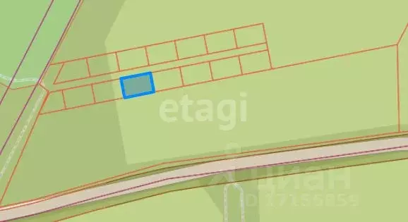 Участок в Хабаровский край, Хабаровский район, Мичуринское с/пос, с. ... - Фото 2