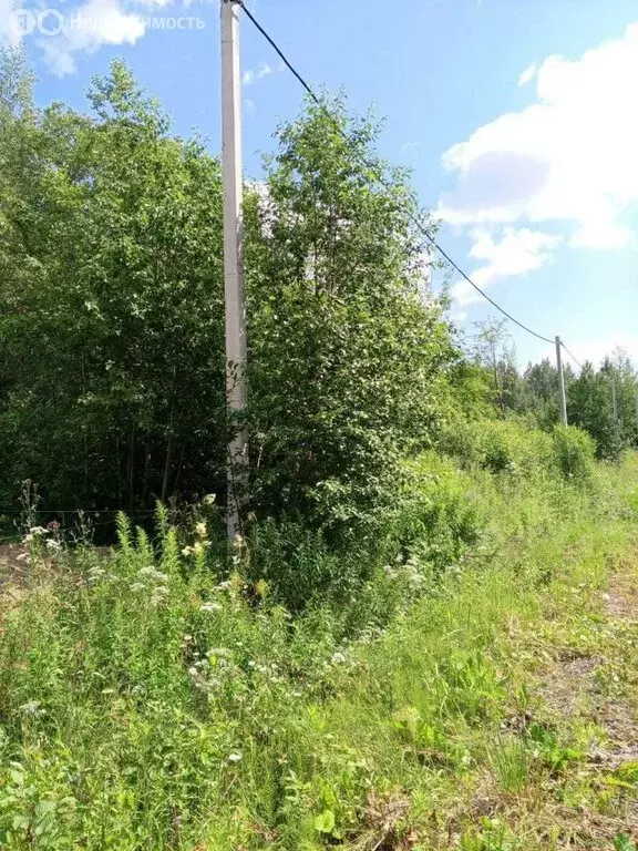 Участок в Череповец, 3-й Кемеровский переулок (8 м) - Фото 1