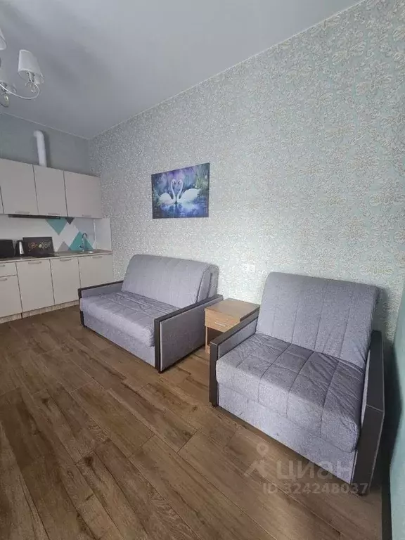 1-к кв. Краснодарский край, Сочи ул. Просвещения, 132 (25.0 м) - Фото 2