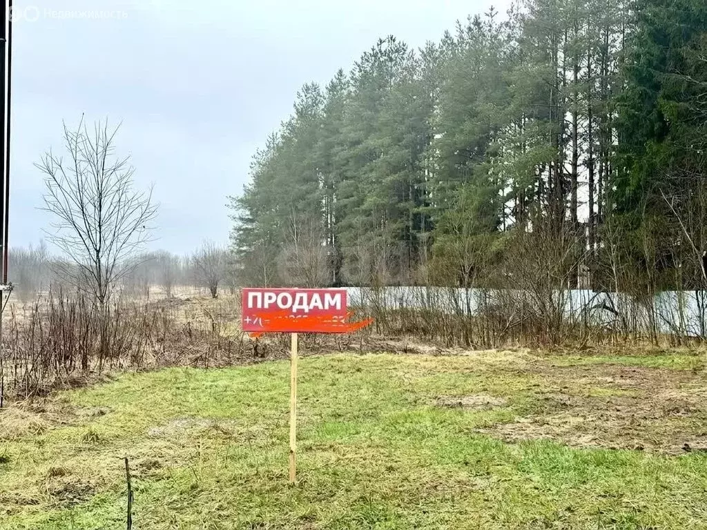 Участок в Лопухинское сельское поселение, территория ... - Фото 1