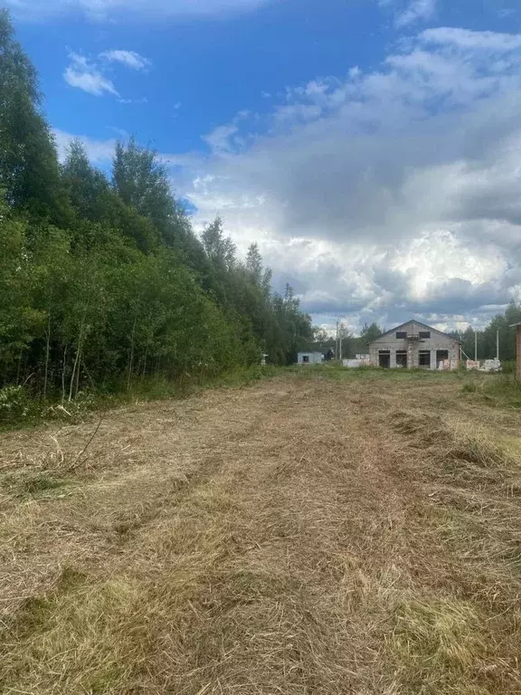 Участок в Ленинградская область, Выборгский район, Рощинское городское ... - Фото 0