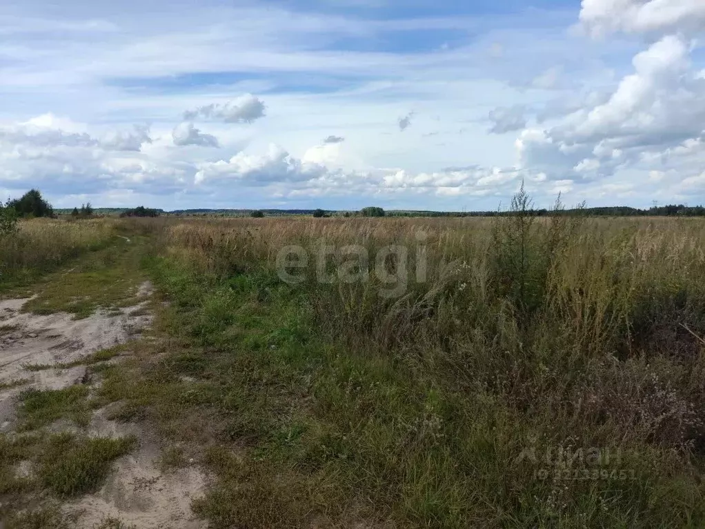 Участок в Владимирская область, Меленковский муниципальный округ, с. ... - Фото 2