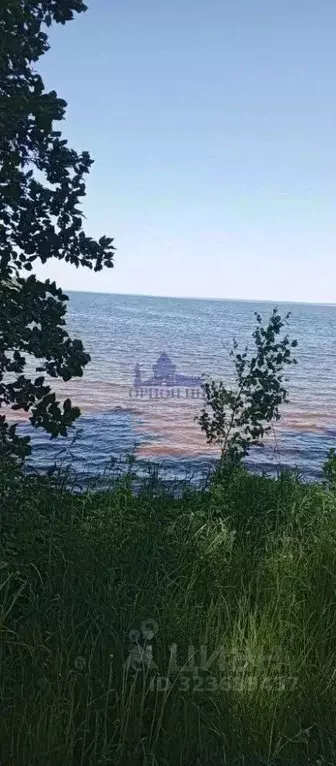 Дом в Нижегородская область, Чкаловск муниципальный округ, с. ... - Фото 1