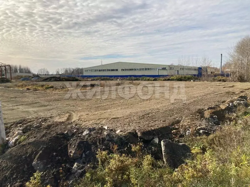 Участок в Новосибирская область, Обь ул. Большая (20.0 сот.) - Фото 0