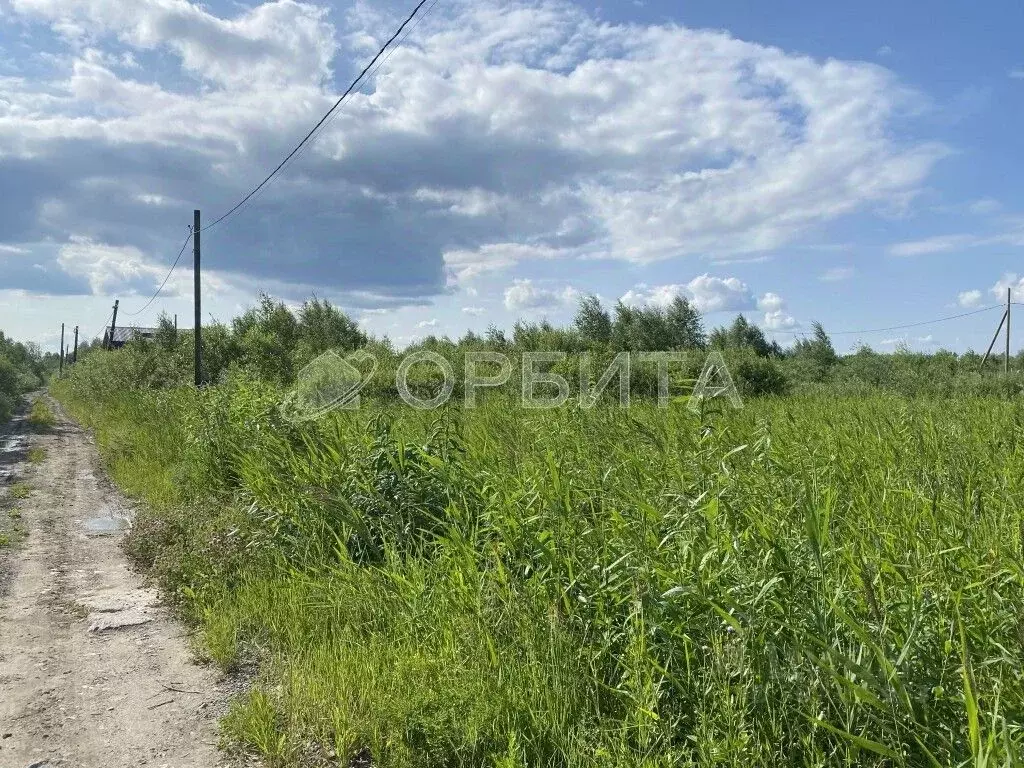 Участок в Тюменская область, Тюмень СОСН Березка-3 тер., ул. 28-я ... - Фото 1