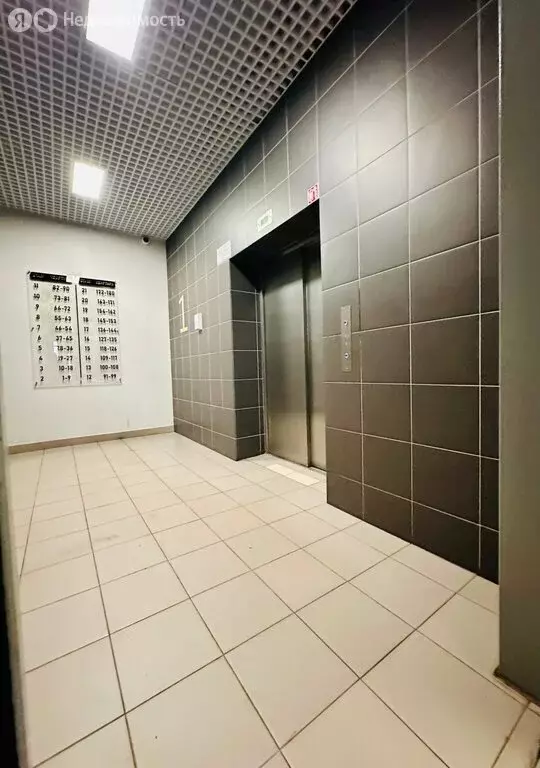 1-комнатная квартира: Санкт-Петербург, Муринская дорога, 57 (38.1 м) - Фото 2