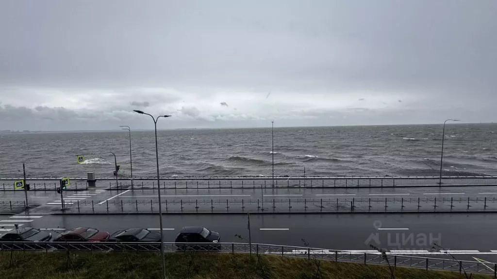 2-к кв. Санкт-Петербург ул. Челюскина, 10 (58.1 м) - Фото 1