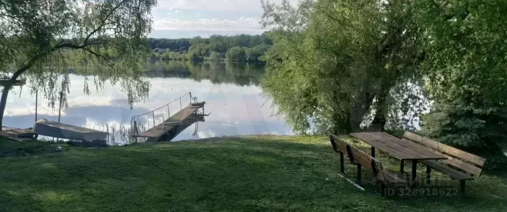 Участок в Тульская область, Новомосковск городской округ, с. Стрельцы ... - Фото 2