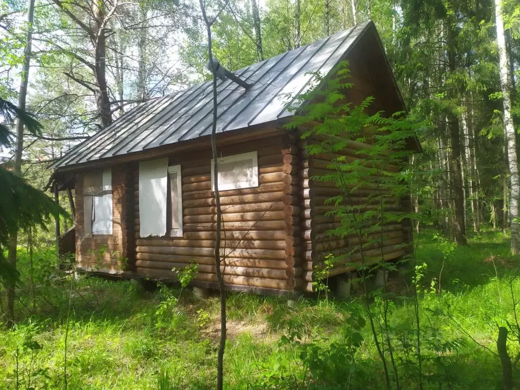 Участок в Владимирская область, Киржачский район, Першинское ... - Фото 1