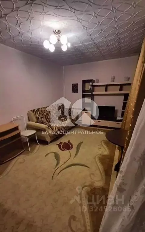 1-к кв. Новосибирская область, Новосибирск Линейная ул., 45/2 (29.1 м) - Фото 1