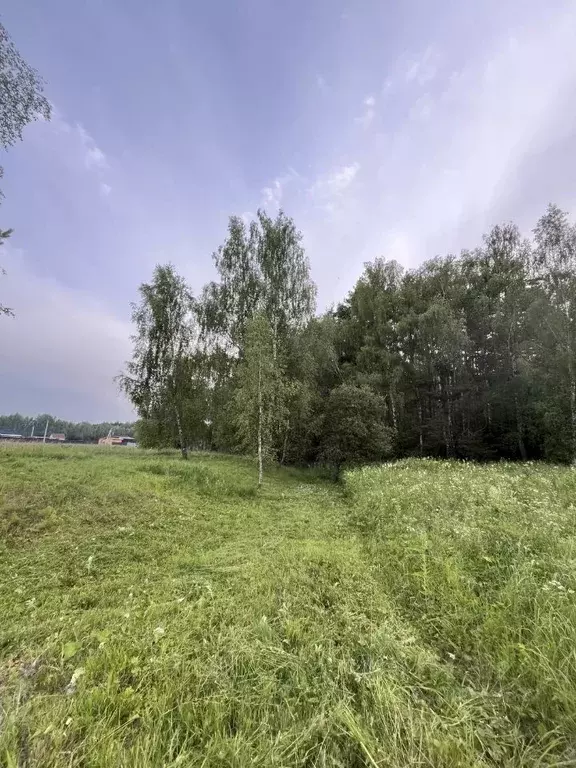 Участок в Московская область, Раменский муниципальный округ, ... - Фото 2