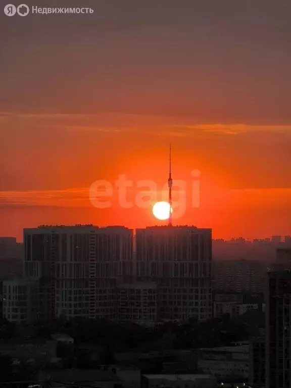 1-комнатная квартира: Москва, Амурская улица, 1Ак4 (38.7 м) - Фото 1