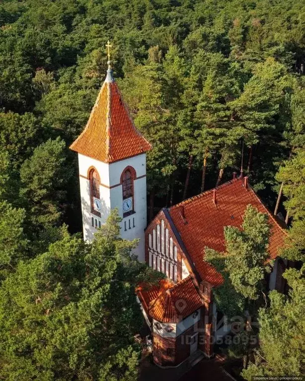 1-к кв. Калининградская область, Светлогорск Яблоневая ул., 21 (23.0 ... - Фото 1