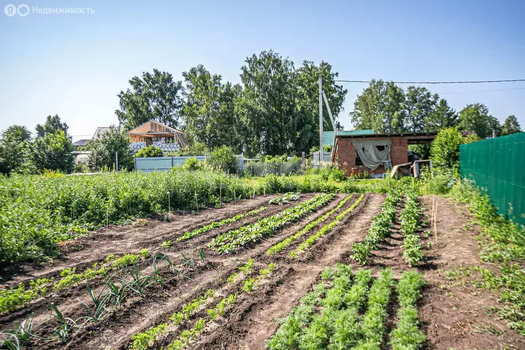 Участок в Бердск, СНТ Ива, 14-я улица (9 м) - Фото 1