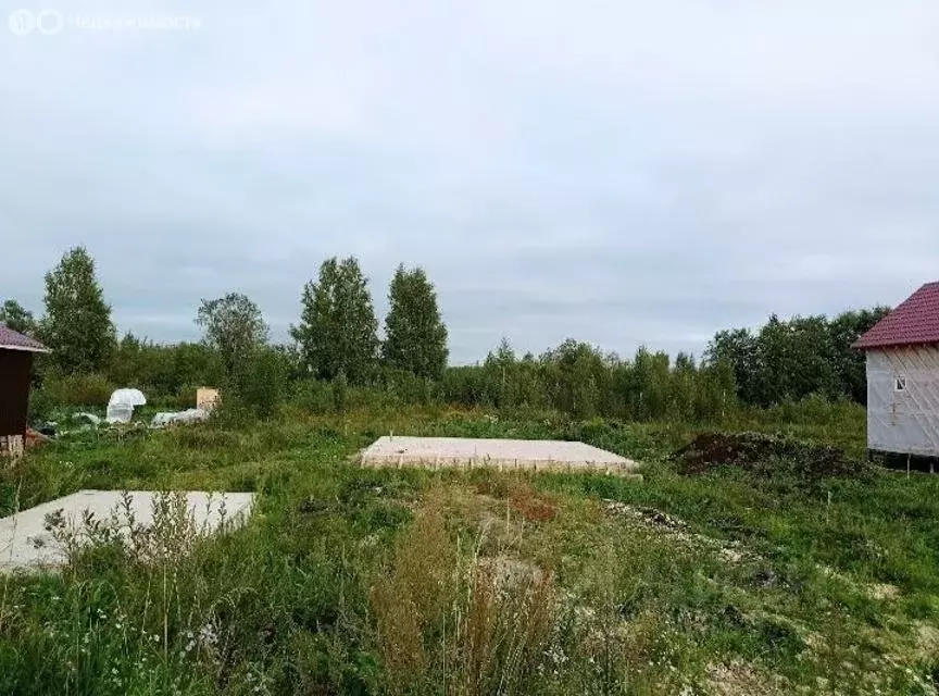 Участок в посёлок Мыза-Ивановка, Новая улица, 23 (10 м) - Фото 1