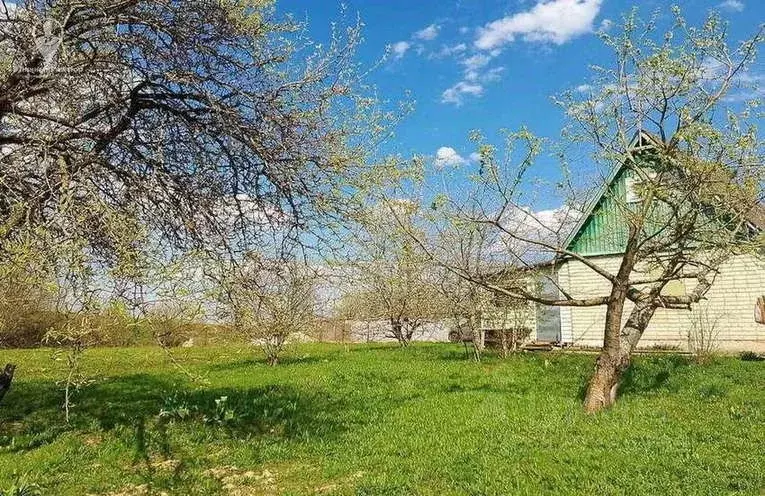Участок в Рязанская область, Рязанский муниципальный округ, Движенец-2 ... - Фото 1