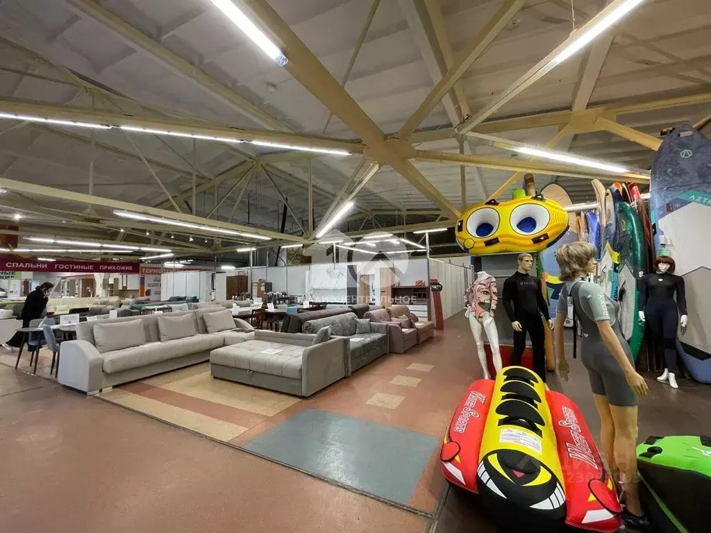 Помещение свободного назначения в Новосибирская область, Новосибирск ... - Фото 1