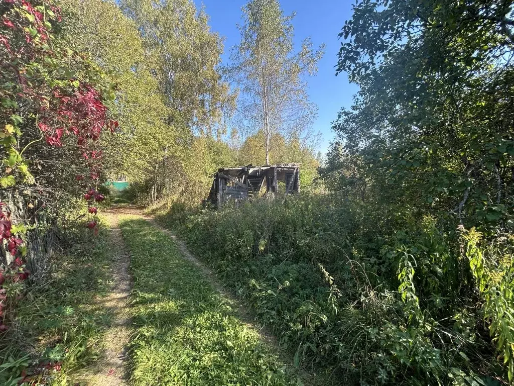 Участок в Владимирская область, Александров Марино СНТ,  (6.8 сот.) - Фото 0