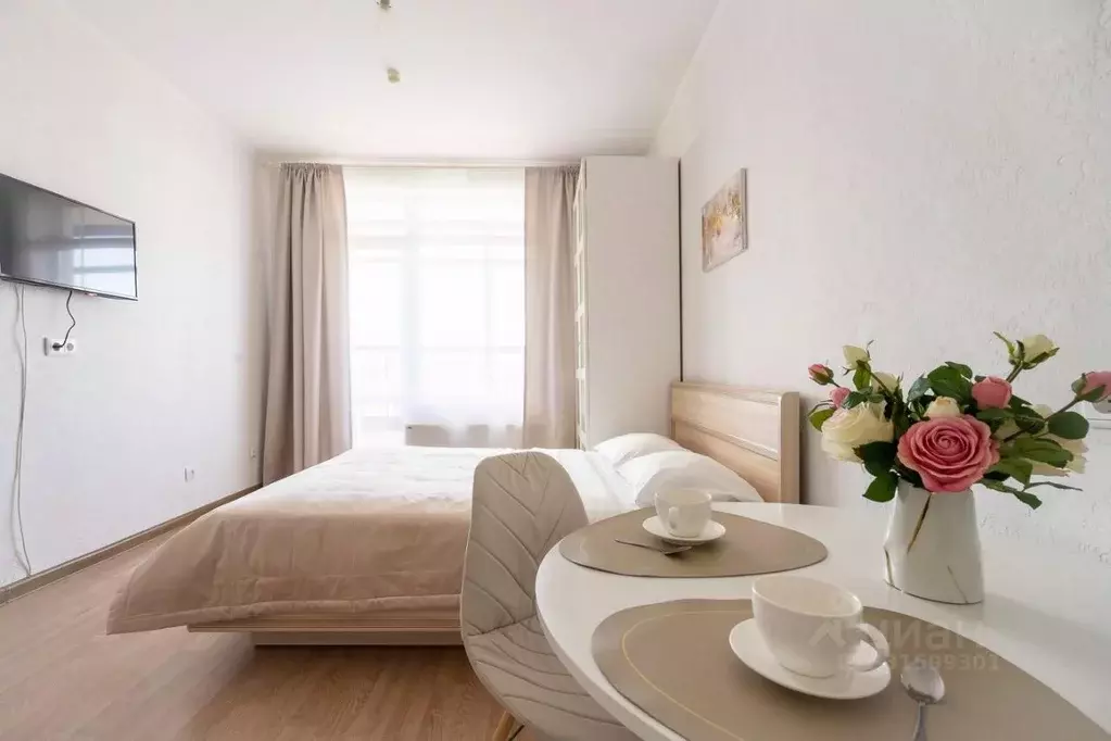 Студия Санкт-Петербург ул. Адмирала Черокова, 18к3 (24.1 м) - Фото 1