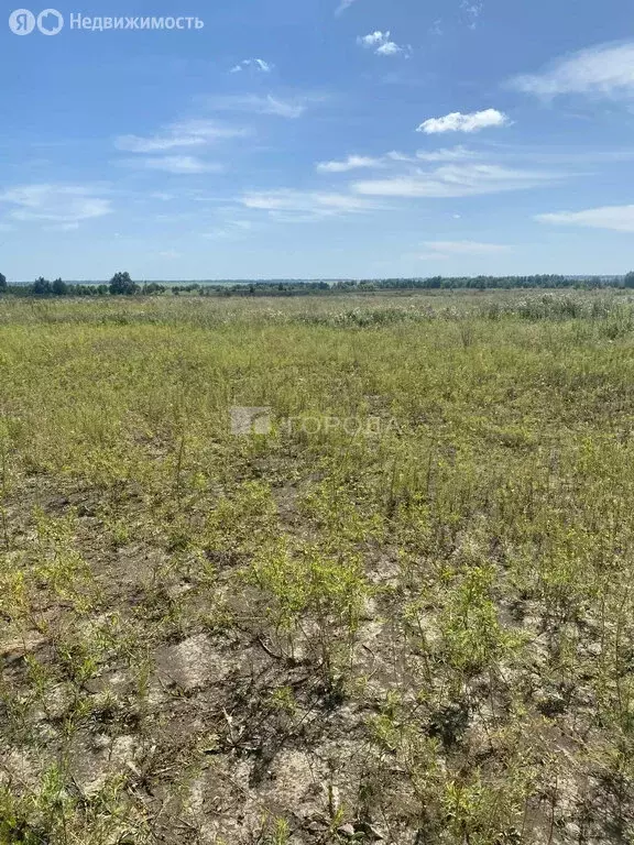 Участок в посёлок Центральный, Белокурихинская улица, 10А (8 м) - Фото 1