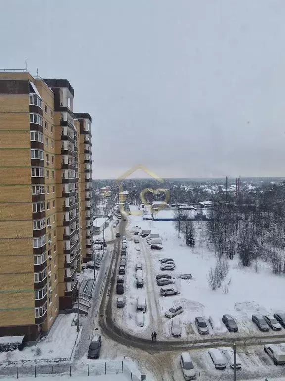 2-к кв. Московская область, Пушкинский городской округ, Зеленоградский ... - Фото 1