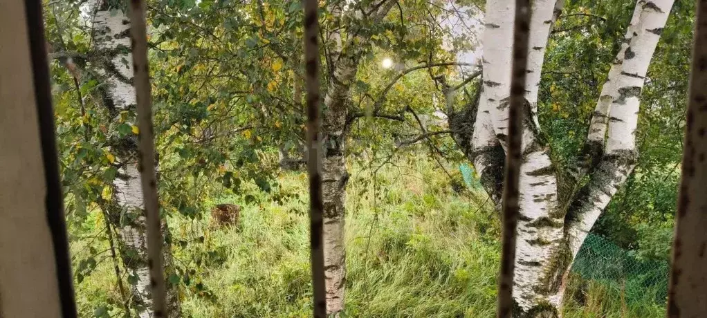 Участок в Ленинградская область, Тосненский район, Красноборское ... - Фото 2