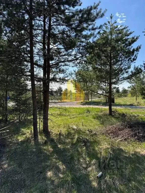 Участок в Ленинградская область, Выборгский район, Полянское с/пос, ... - Фото 1