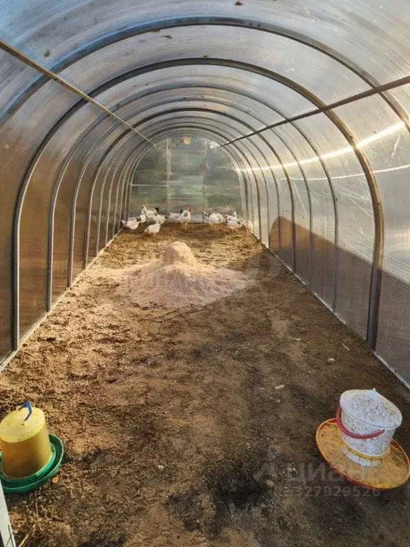 Участок в Калининградская область, Багратионовский муниципальный ... - Фото 2