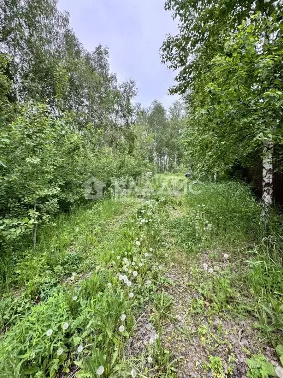 Участок в Челябинская область, Сосновский муниципальный округ, Городок ... - Фото 1